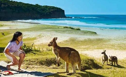 澳大利亚的工作和度假签证是否向中国开放？