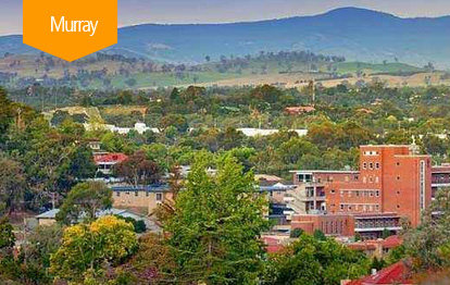 Murray 489州担保移民