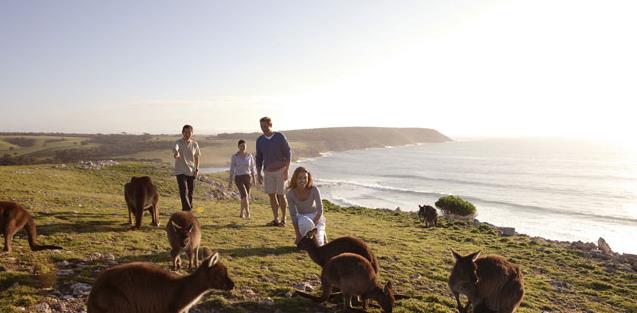 申请澳洲移民能否带上自己的爱人和家人?